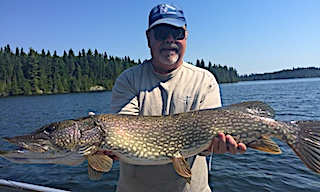 BIG Northern Pike Fishing by Stu at Fireside Lodge in Canada